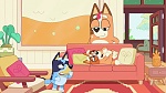 Bluey : Keepy Uppy picture