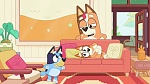 Bluey picture