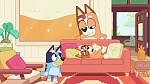 Bluey : Keepy Uppy picture