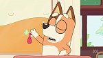 Bluey picture