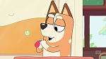 Bluey picture