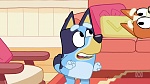 Bluey picture