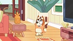 Bluey picture