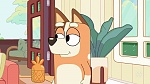Bluey picture