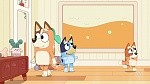 Bluey picture