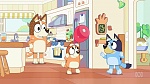 Bluey picture