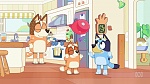Bluey picture