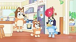 Bluey picture