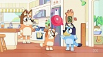 Bluey picture