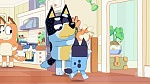 Bluey picture