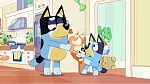 Bluey picture