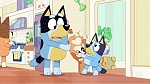 Bluey picture