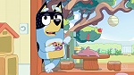 Bluey picture