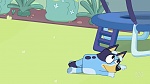 Bluey picture