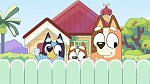 Bluey picture