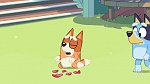 Bluey picture