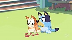 Bluey : Keepy Uppy picture