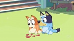 Bluey picture