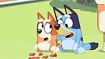 Bluey picture