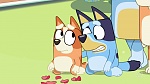 Bluey : Keepy Uppy picture