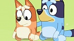 Bluey picture