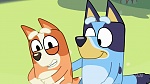 Bluey picture