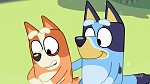 Bluey : Keepy Uppy picture