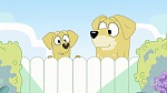 Bluey picture