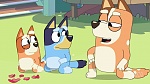 Bluey picture