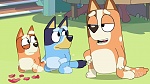 Bluey picture