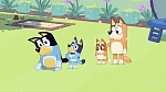 Bluey picture
