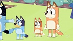 Bluey picture