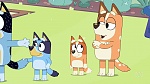 Bluey picture