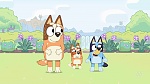 Bluey picture