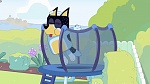 Bluey : Keepy Uppy picture