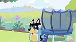 Bluey picture
