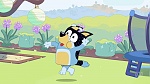 Bluey picture