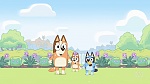 Bluey picture