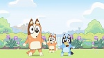 Bluey picture