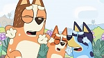 Bluey : Keepy Uppy picture