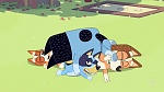 Bluey picture