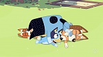 Bluey : Keepy Uppy picture