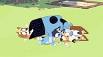 Bluey picture