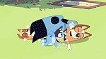 Bluey picture