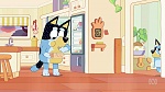 Bluey picture