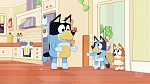 Bluey picture