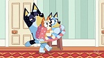 Bluey picture