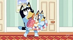 Bluey picture