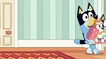 Bluey picture