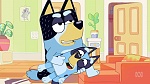 Bluey picture